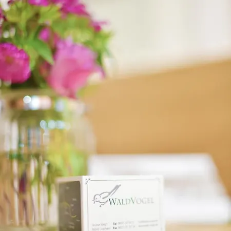 Waldvogel Лайпхайм