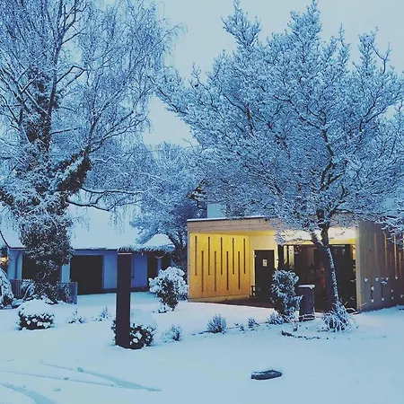 Waldvogel Otel *