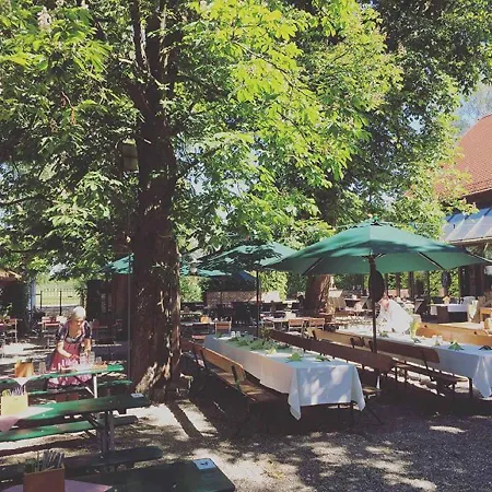 Waldvogel Отель